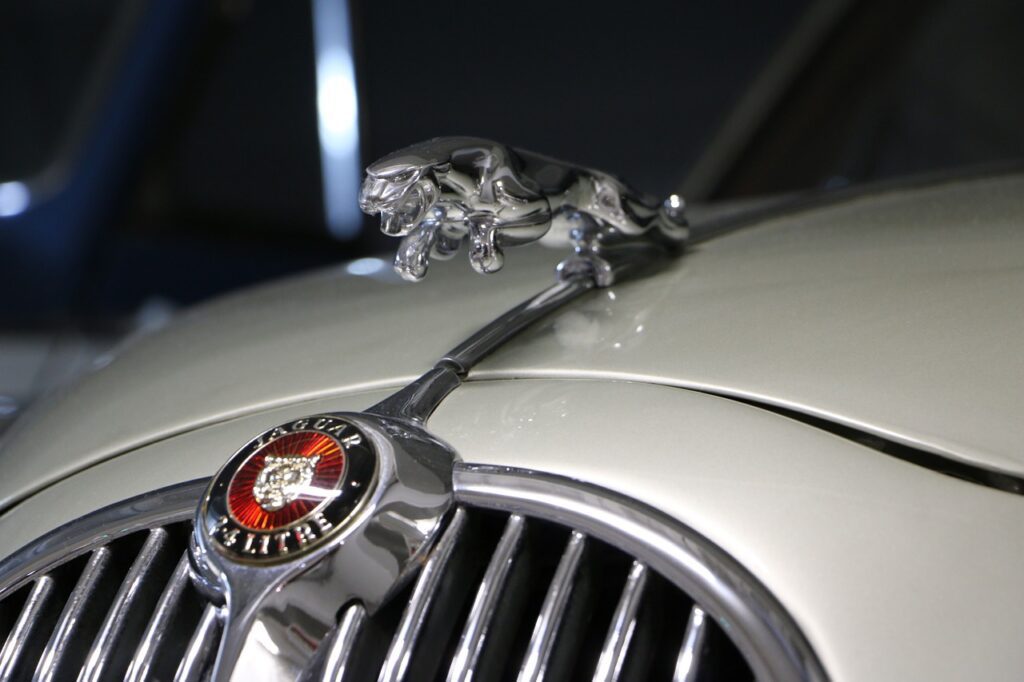 jaguar, car, emblem-753314.jpg